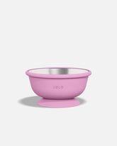 Stainless Suction Bowl
