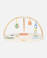 The Play Gym II