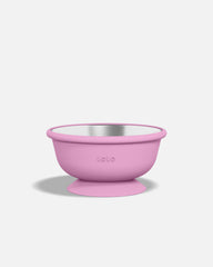 Stainless Suction Bowl