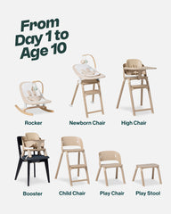 The Chair II Newborn Bundle