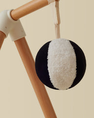 Sensory Ball